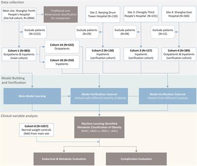 Machine Learning to Identify Metabolic Subtypes of Obesity: A Multi-Center Study